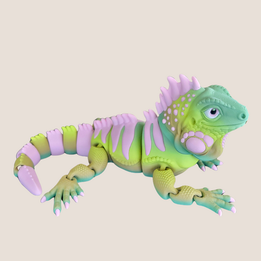 Flexy Iguana